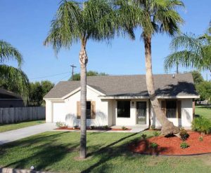 The Lazy Palm