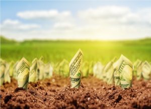 SRC Land: Property Highlight