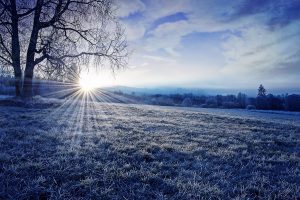 winter morning with sunrise