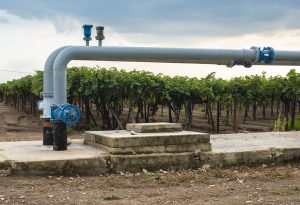 Large water pipes that bend over a slab of concrete in a vineyard.