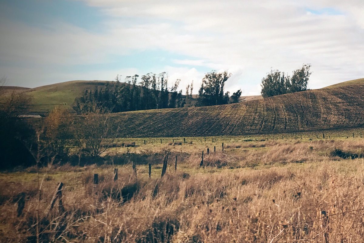 A vacant landscape.