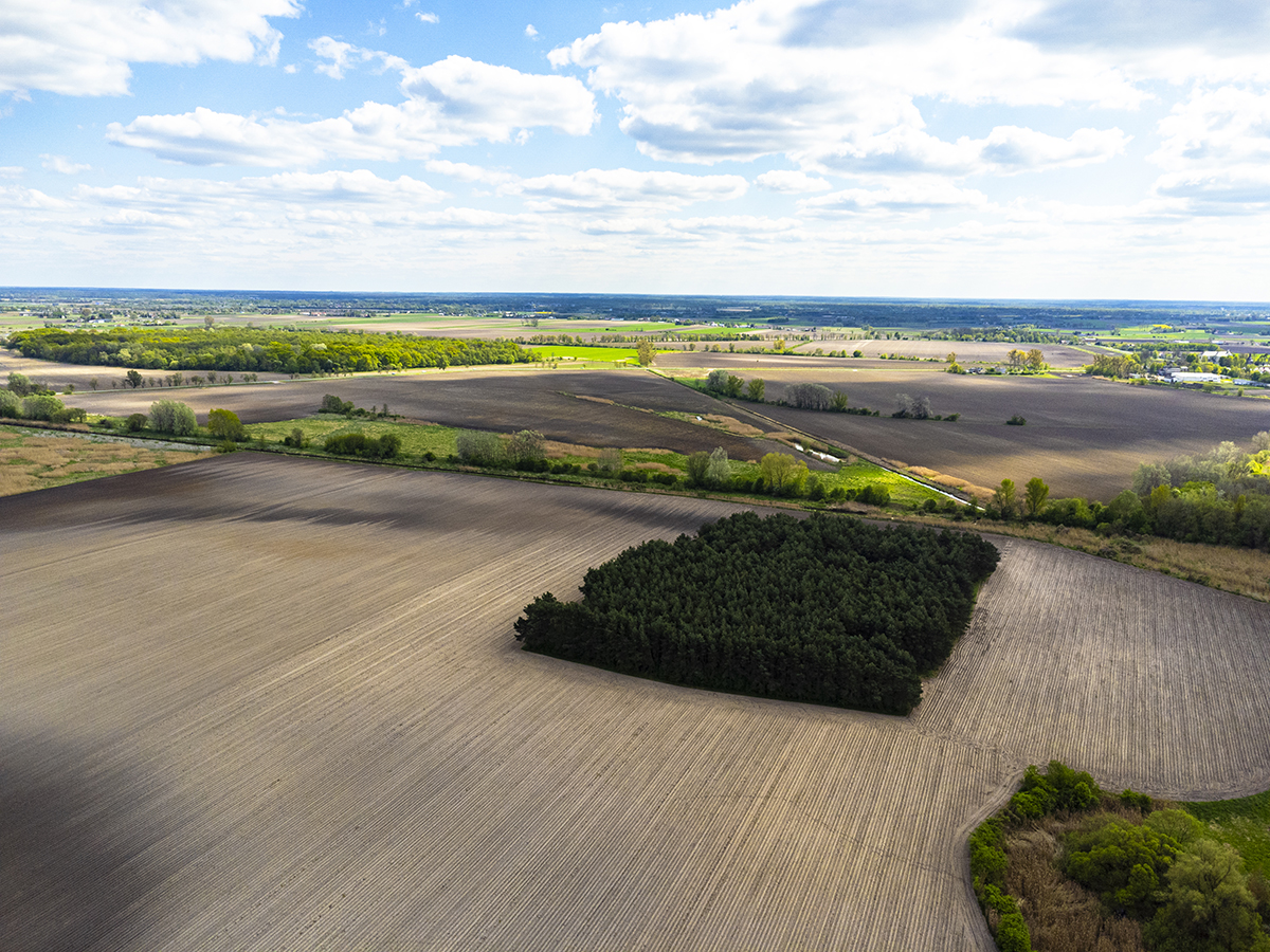 An aerial view of undeveloped land